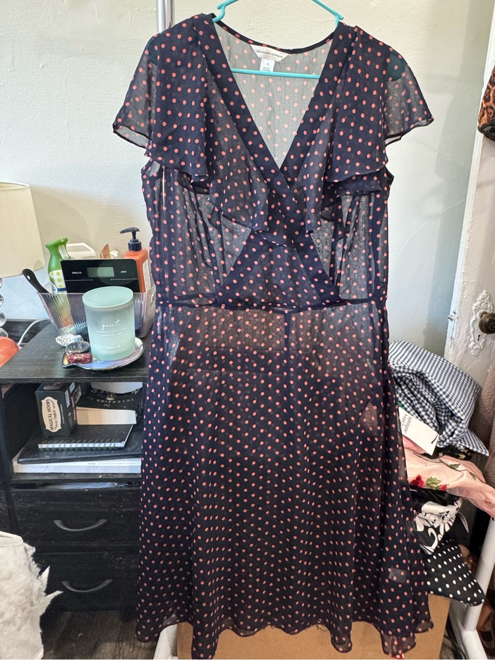 Christopher and Banks Sheer Dress